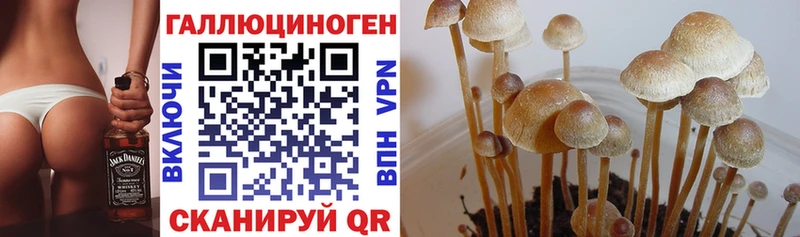 Псилоцибиновые грибы Magic Shrooms Сорск