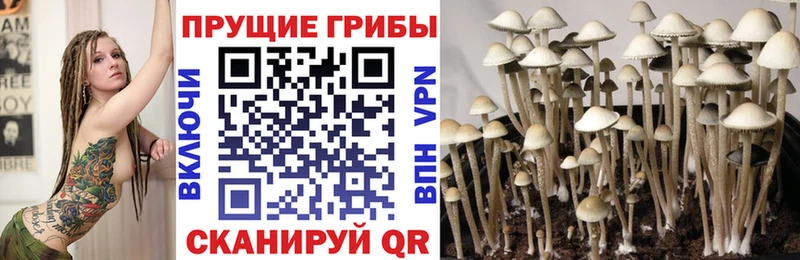 Псилоцибиновые грибы мицелий Сорск